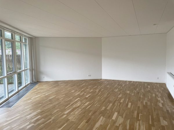 Stue i køkkenalrum